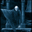 Wiziter